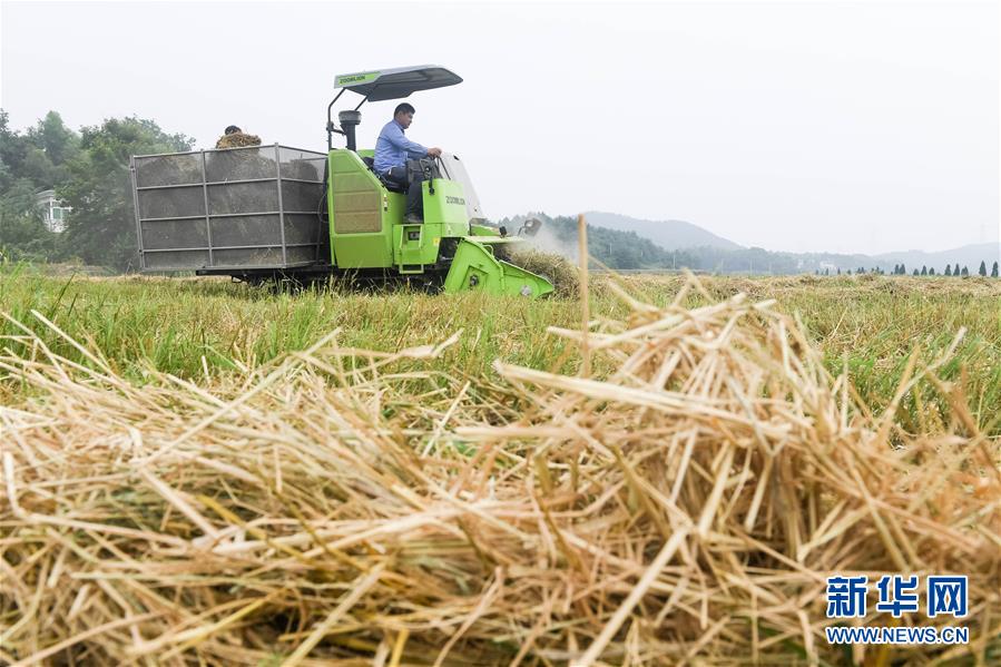 安全找到18游戏入口，避开常见问题和风险的指南 示例图 - 说明文字