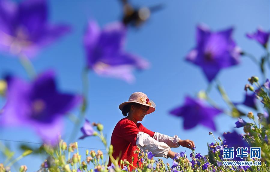 《百千家的妖怪王子》全集动漫-樱花动漫 示例图 - 说明文字