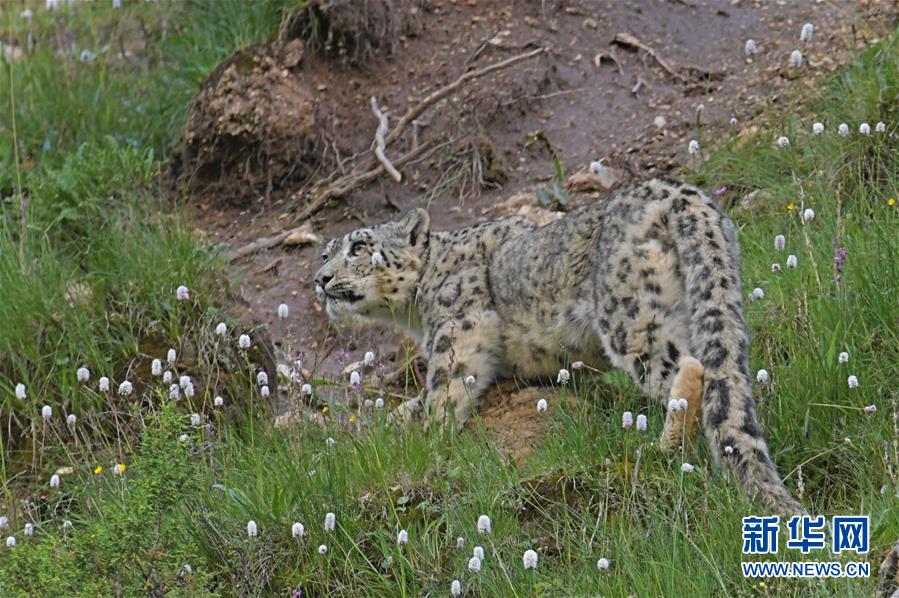 北野未奈hoa∨一101在线观看全集 示例图 - 说明文字