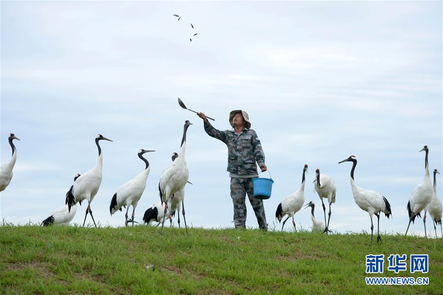 18游戏入口指南，全方位避免问题和风险 示例图 - 说明文字
