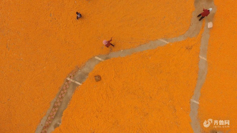 从指尖传出的认真的热情樱花动漫在线播放 示例图 - 说明文字