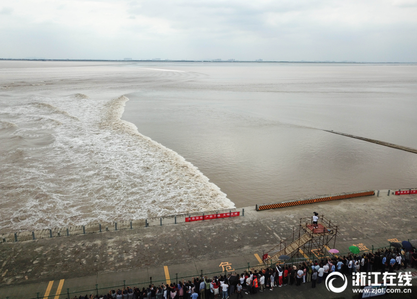 双女车车高清资源在线观看视 示例图 - 说明文字