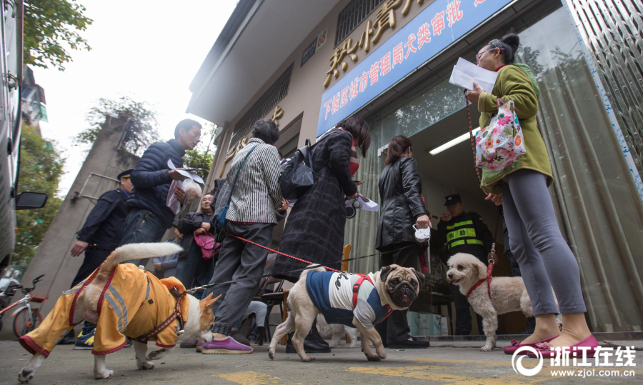 18岁流白浆原因-生理现象还是需要治疗-荟 示例图 - 说明文字