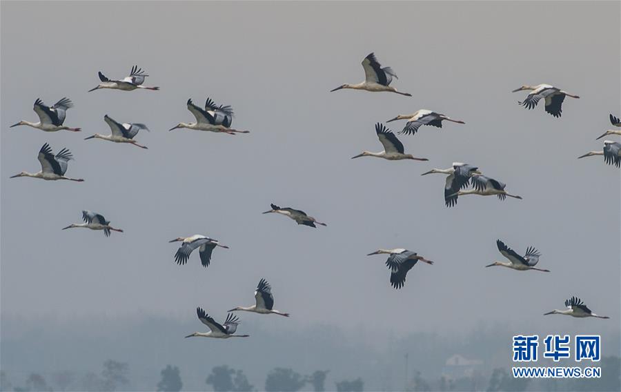 18游戏入口指南，全方位避免问题和风险 示例图 - 说明文字