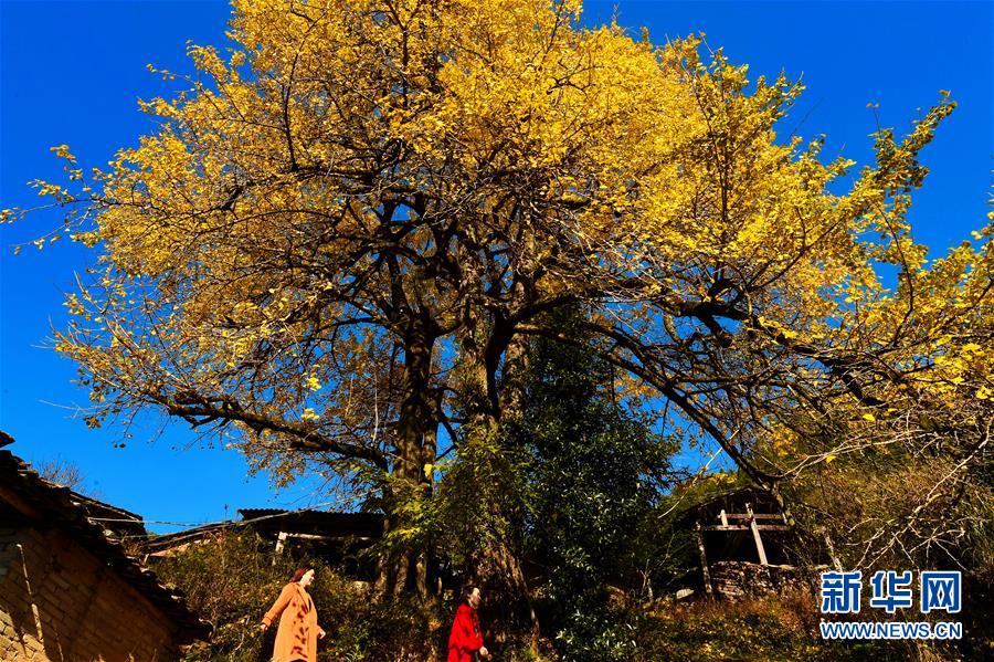 双女车车高清资源在线观看视 示例图 - 说明文字