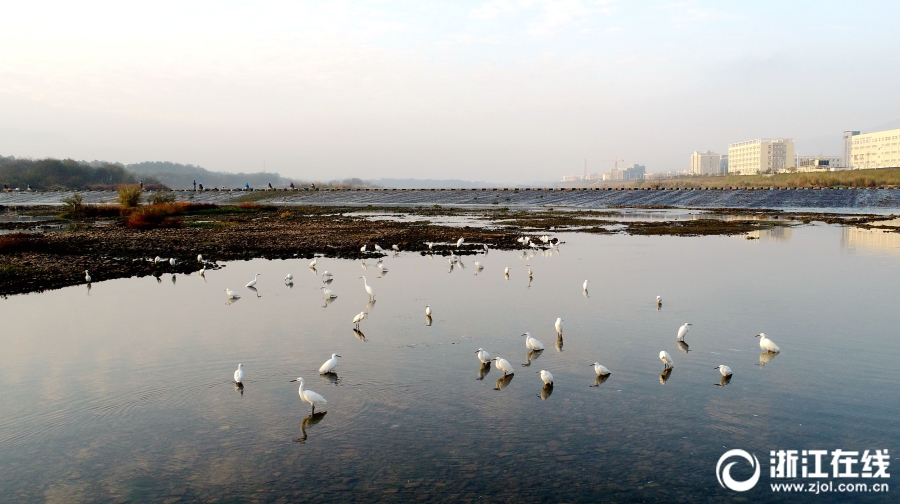 aaaa级片，最新aaaa大片，高清aaaavaaaaaa精品视频 示例图 - 说明文字