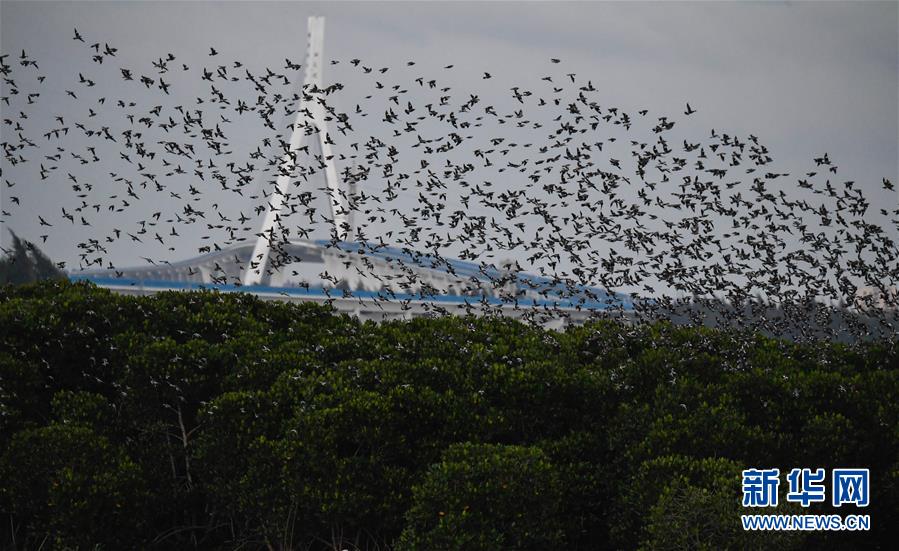 在五情天综合基地探寻幸福之秘 示例图 - 说明文字