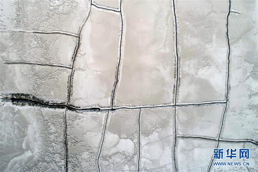 8x8x多重含义数学科技文化中应用 示例图 - 说明文字