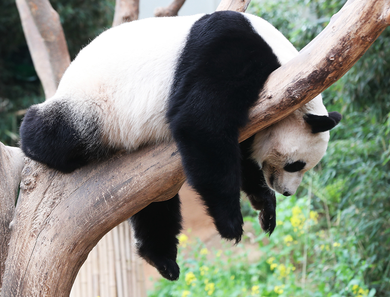 在城市乡村间 gary农民工的奋斗故事 示例图 - 说明文字