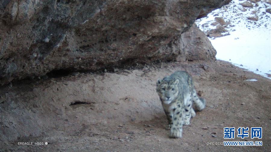 18游戏入口指南，全方位避免问题和风险 示例图 - 说明文字