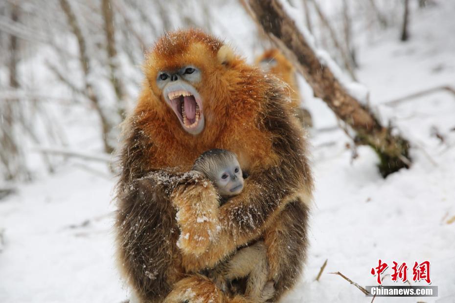 惊人色骚妇公共场合大胆视频曝光 示例图 - 说明文字