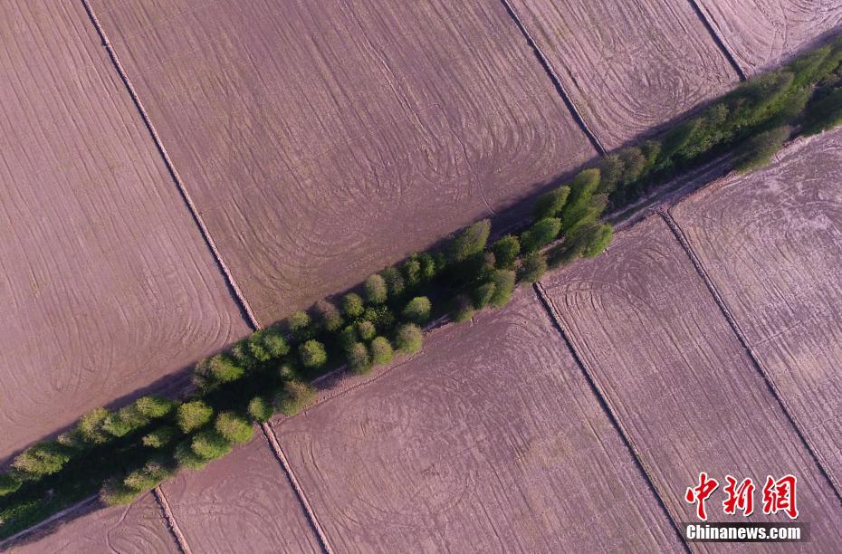 在五情天综合基地探寻幸福之秘 示例图 - 说明文字