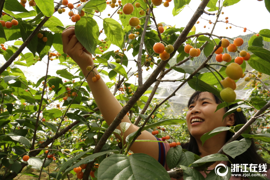 区av电影国产伦精品一二三区日韩av 示例图 - 说明文字