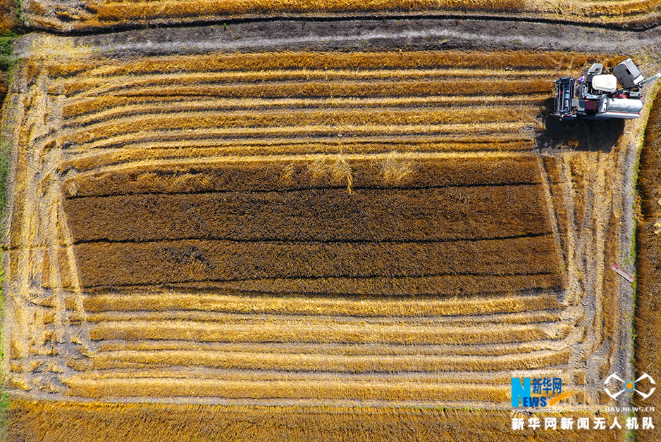 呕吐=美团姑娘怎么约，美团骑手如何进行预约(2024-12-07 21-0) 示例图 - 说明文字