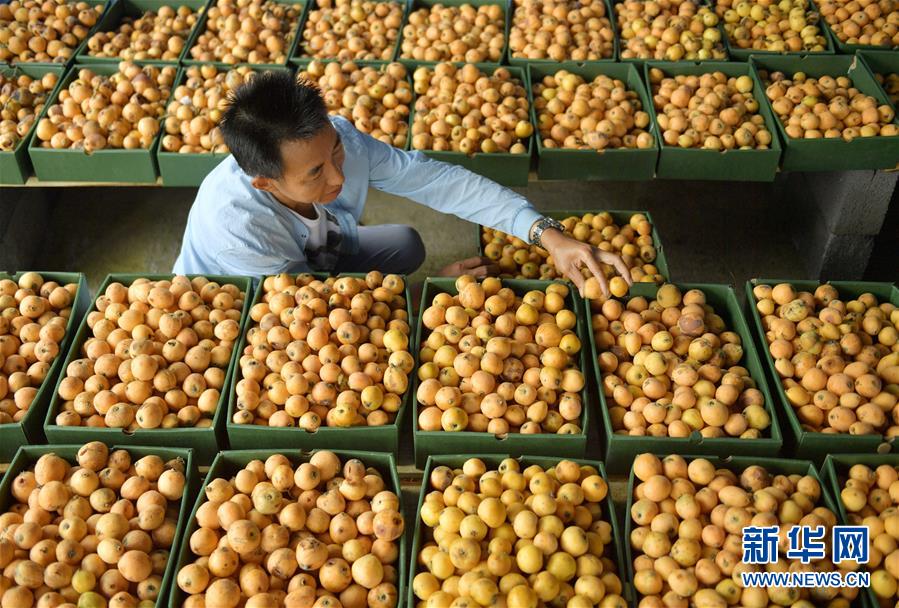 区av电影国产伦精品一二三区日韩av 示例图 - 说明文字