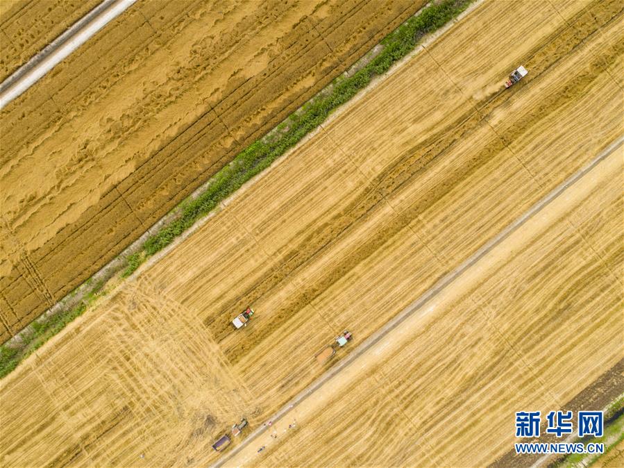 五情天综合基地揭秘幸福秘密 示例图 - 说明文字