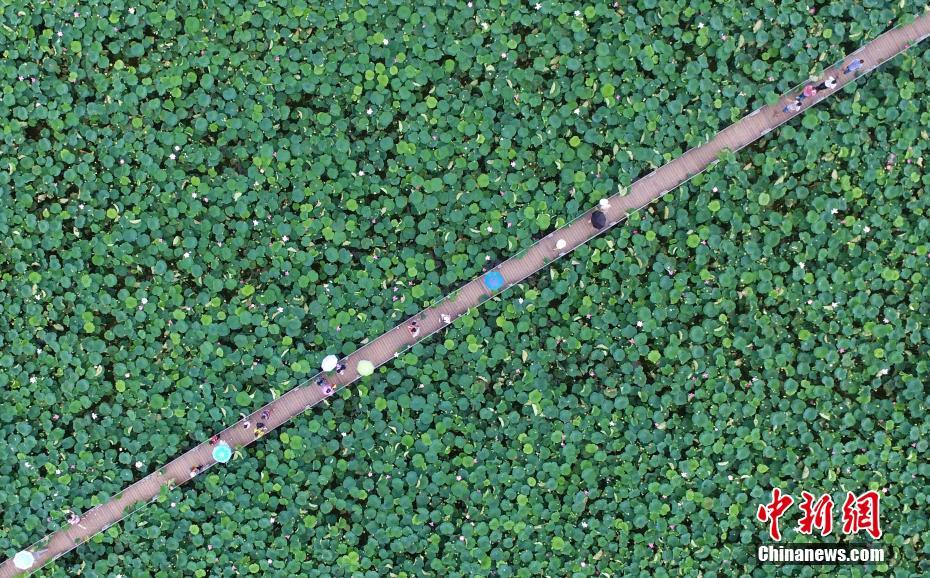 上半年全国社会物流总额1674万亿元，恢复稳定态势持续 示例图 - 说明文字