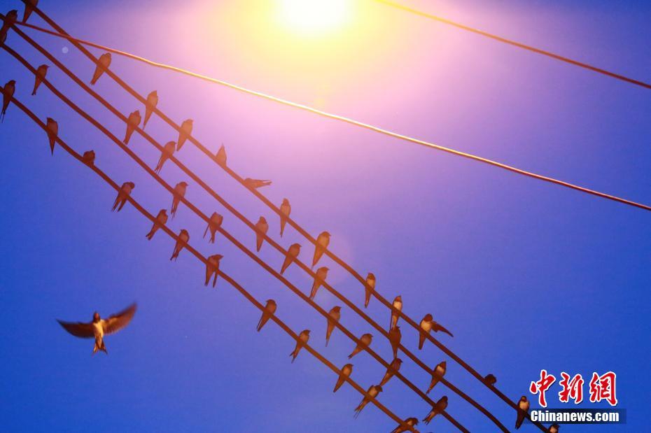 18岁流白浆原因-生理现象还是需要治疗-荟 示例图 - 说明文字