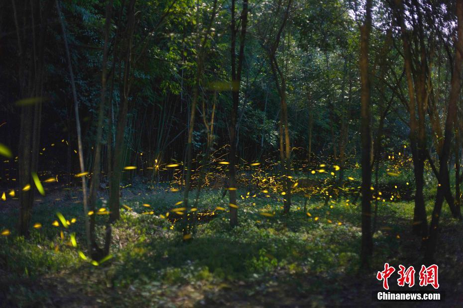 免费观看军情五处第四季电视剧完整版-英国欧 示例图 - 说明文字