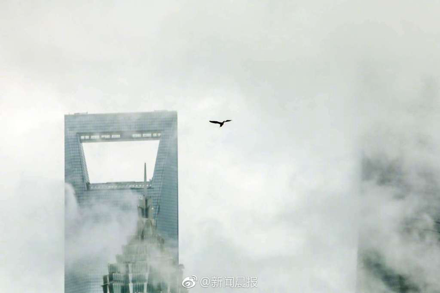 2024一元手游折扣专区，好玩小众游戏排行 示例图 - 说明文字