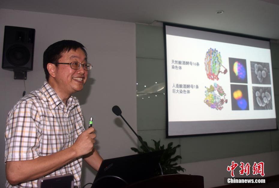 2024年管家婆100%中奖安全设计说明法 示例图 - 说明文字