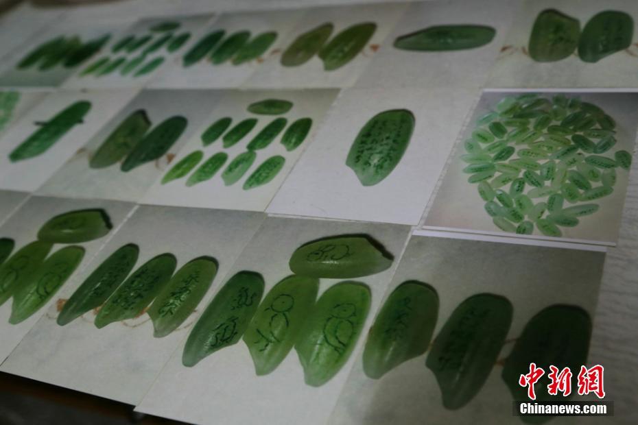 交合集重磅来袭1300部作品如何筛选最佳中文汉字内 示例图 - 说明文字