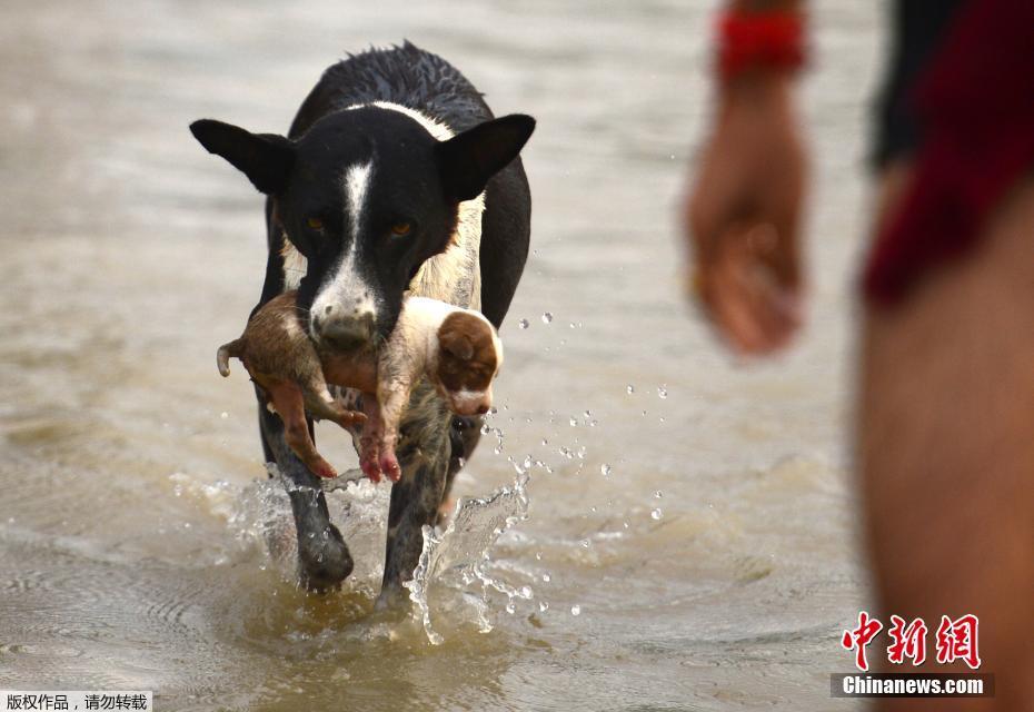 庙里的和尚猛免费在线阅读_四缺一_全集最新收录 示例图 - 说明文字