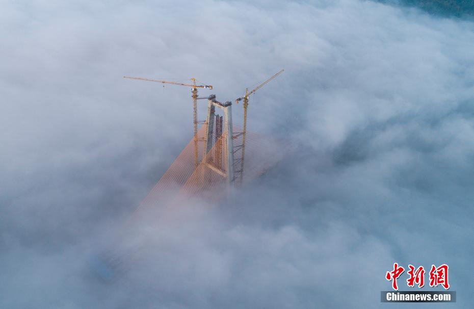 国产av电影精品区一二三区日韩av免费收看 示例图 - 说明文字