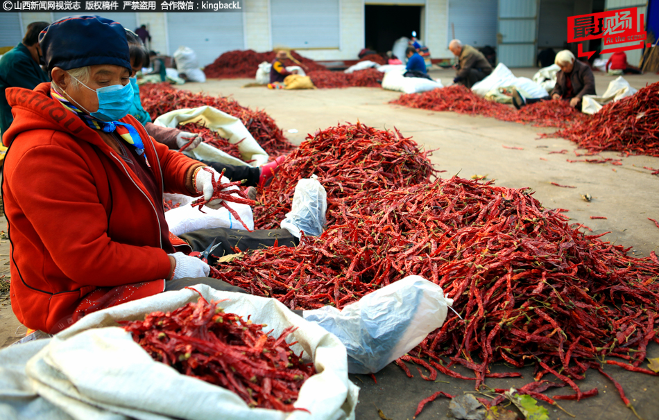 在城市乡村间 gary农民工的奋斗故事 示例图 - 说明文字