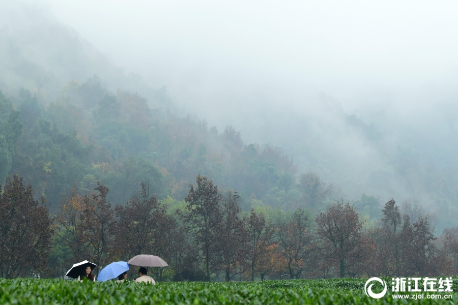 7x7x7x7x任意槽2023新品购买推荐 示例图 - 说明文字