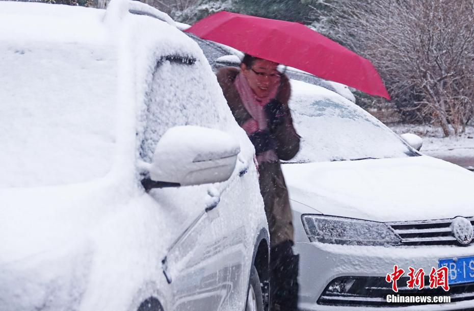 保罗芭芭拉1980年合作-斯顿手颠覆传统流行文化 示例图 - 说明文字