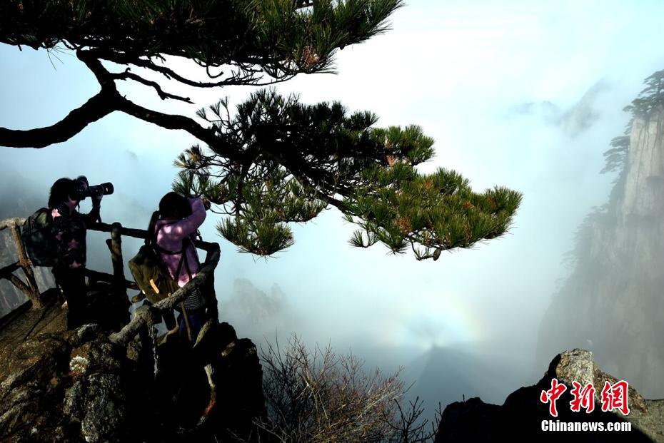 018期澳门彩报-3d图库 示例图 - 说明文字