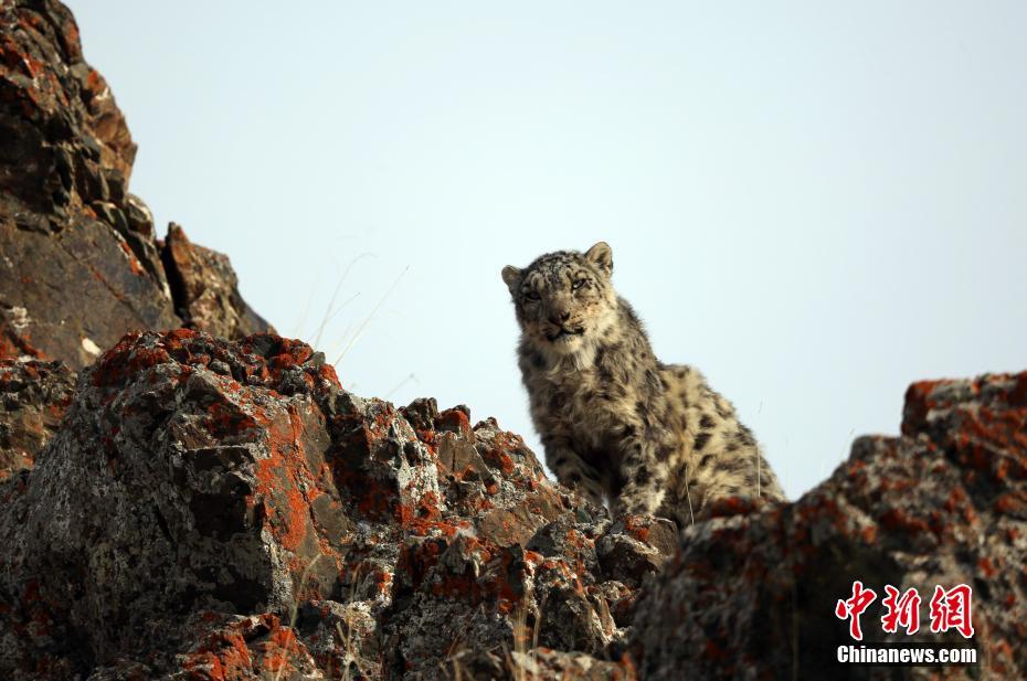 18岁流白浆原因-生理现象还是需要治疗-荟 示例图 - 说明文字