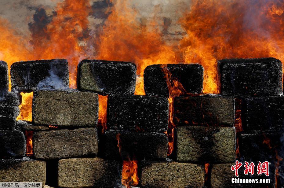 五情天综合基地揭秘幸福秘密 示例图 - 说明文字