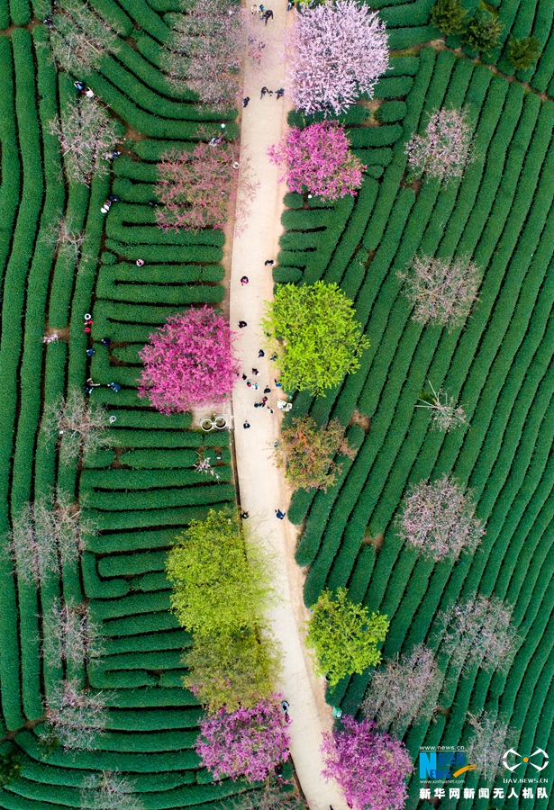 zoomservo兽-科技幻想未来生物 示例图 - 说明文字