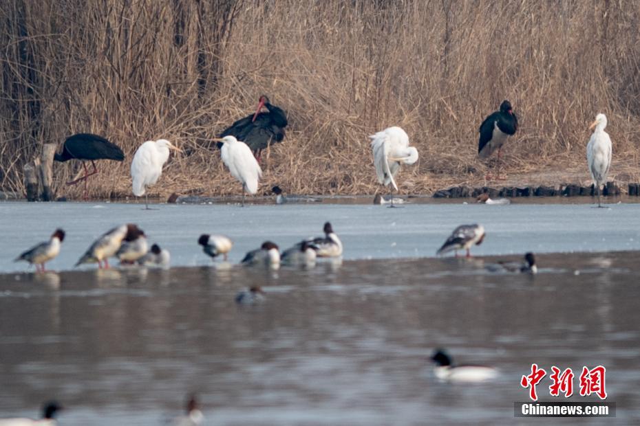 女警花闺房处女学习新技能准备晋升 示例图 - 说明文字
