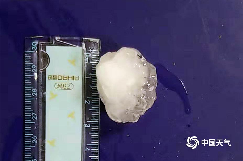 小舞奇遇记下拉漫画txt全集电子书免费下载奇猫趣事网 示例图 - 说明文字