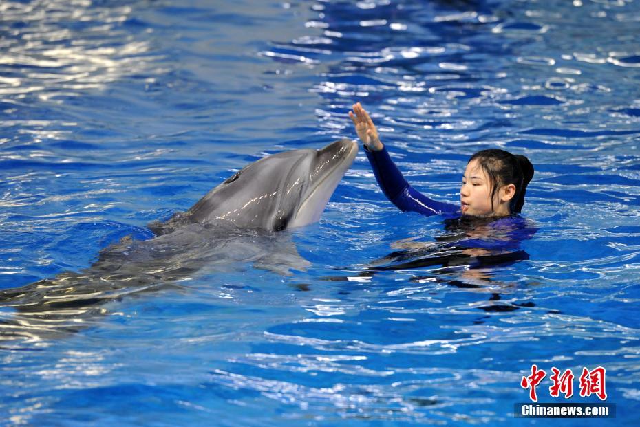 义妹生活免费在线观看-完整版-fhd日漫-新尚影院 示例图 - 说明文字