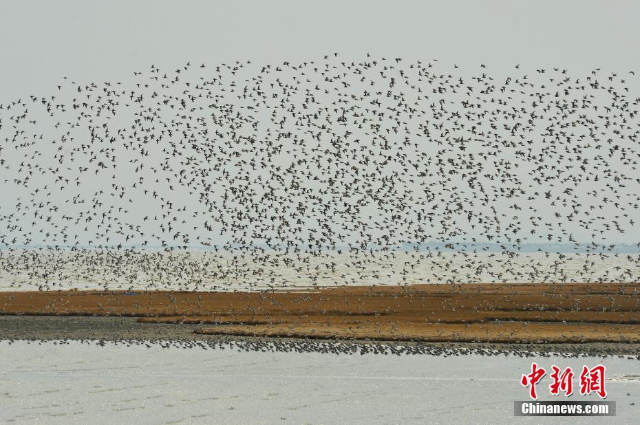 喜欢bl动画的你，来看这些车车动画推荐吧！bl的车车动画 示例图 - 说明文字