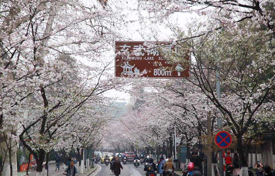 保罗芭芭拉1980年合作-斯顿手颠覆传统流行文化 示例图 - 说明文字