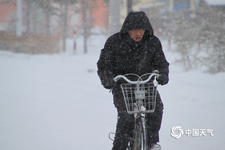 双女车车高清资源在线观看视 示例图 - 说明文字