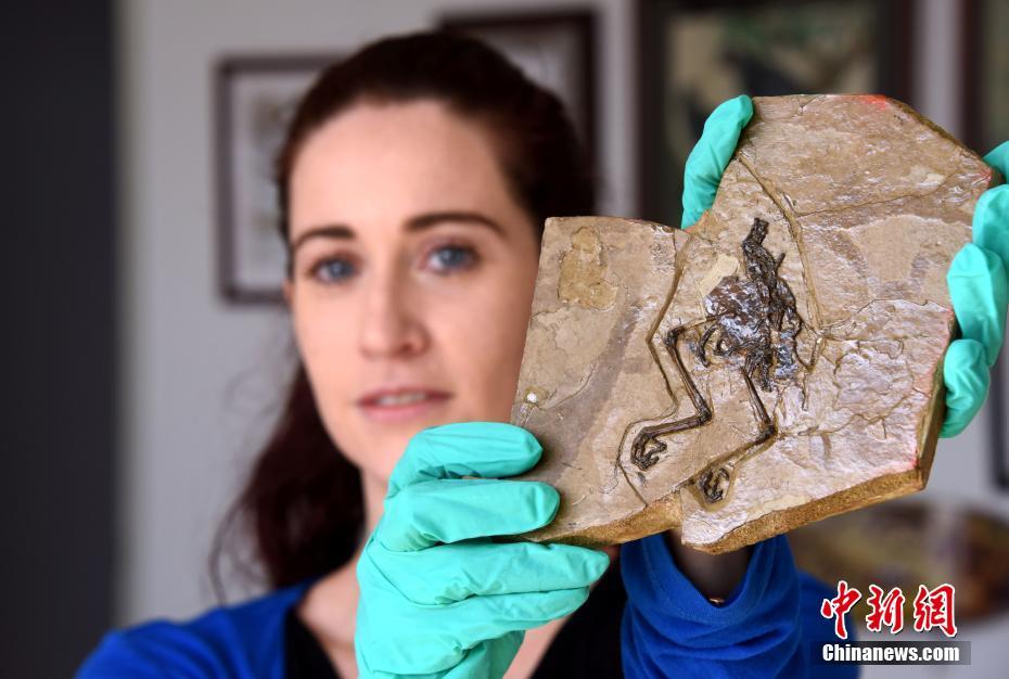 悍城演员表-历史剧完整版免费观看 示例图 - 说明文字