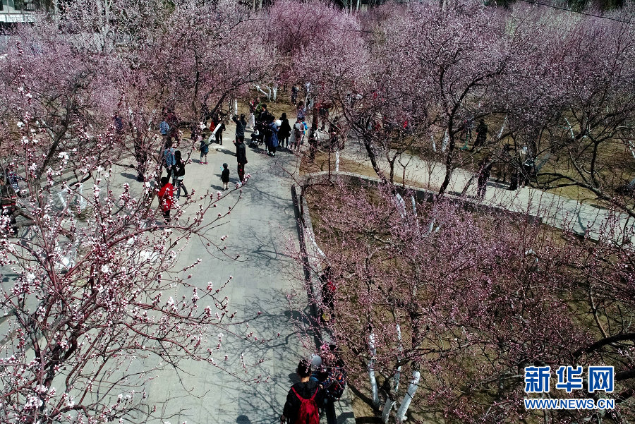 199麻豆up主吐槽盘点，内容绝，我刷了 示例图 - 说明文字