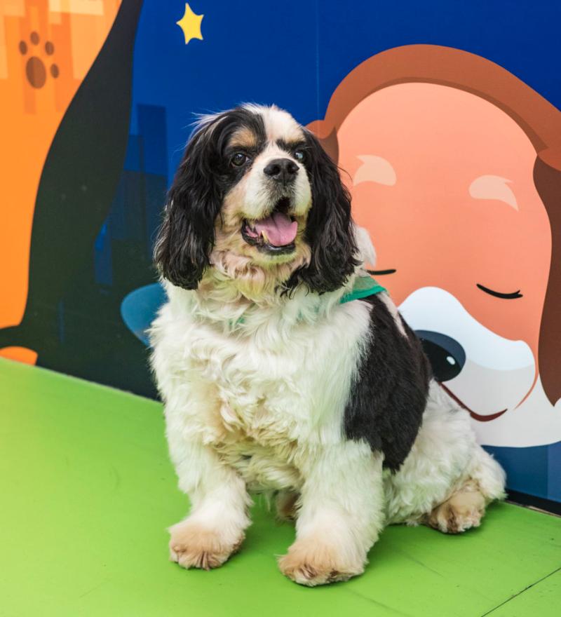 呕吐=美团姑娘怎么约，美团骑手如何进行预约(2024-12-07 21-0) 示例图 - 说明文字