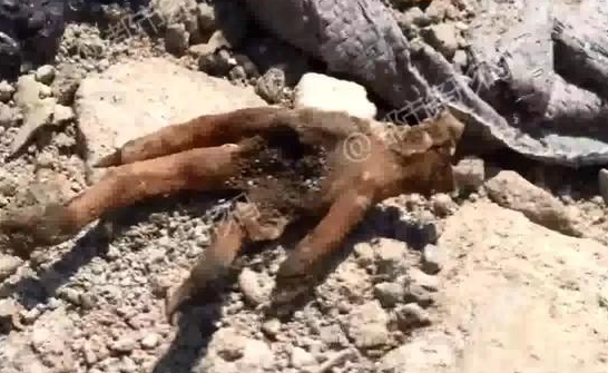 在五情天综合基地探寻幸福之秘 示例图 - 说明文字