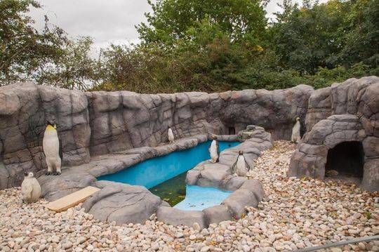 女警花闺房处女学习新技能准备晋升 示例图 - 说明文字