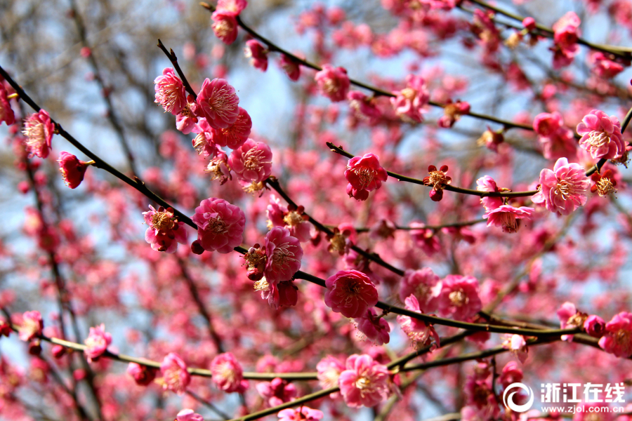 双女车车高清资源在线观看视 示例图 - 说明文字