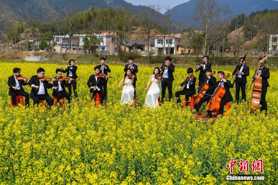 《百千家的妖怪王子》全集动漫-樱花动漫 示例图 - 说明文字